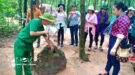 Cu Chi Tunnels & Mekong Delta Full Day