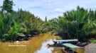 Cu Chi Tunnels & Mekong Delta Full Day