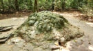 Private Cu Chi & City 1 Day