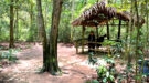 Private Cu Chi Tunnels & Mekong Delta Full Day