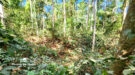 Private Cu Chi Tunnels & Mekong Delta Full Day
