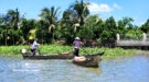 Private Cu Chi Tunnels & Mekong Delta Full Day