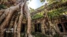 Angkor Wat Small