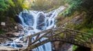 Da Lat highland 4D3N