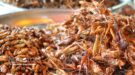 Siem Reap Evening Street Food Tour