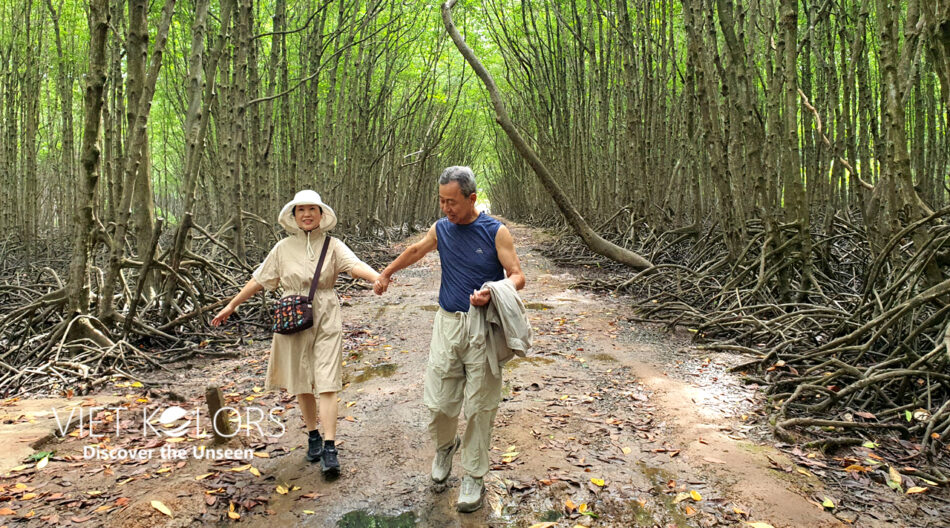 Can Gio Day Tour To Explore Monkey Island