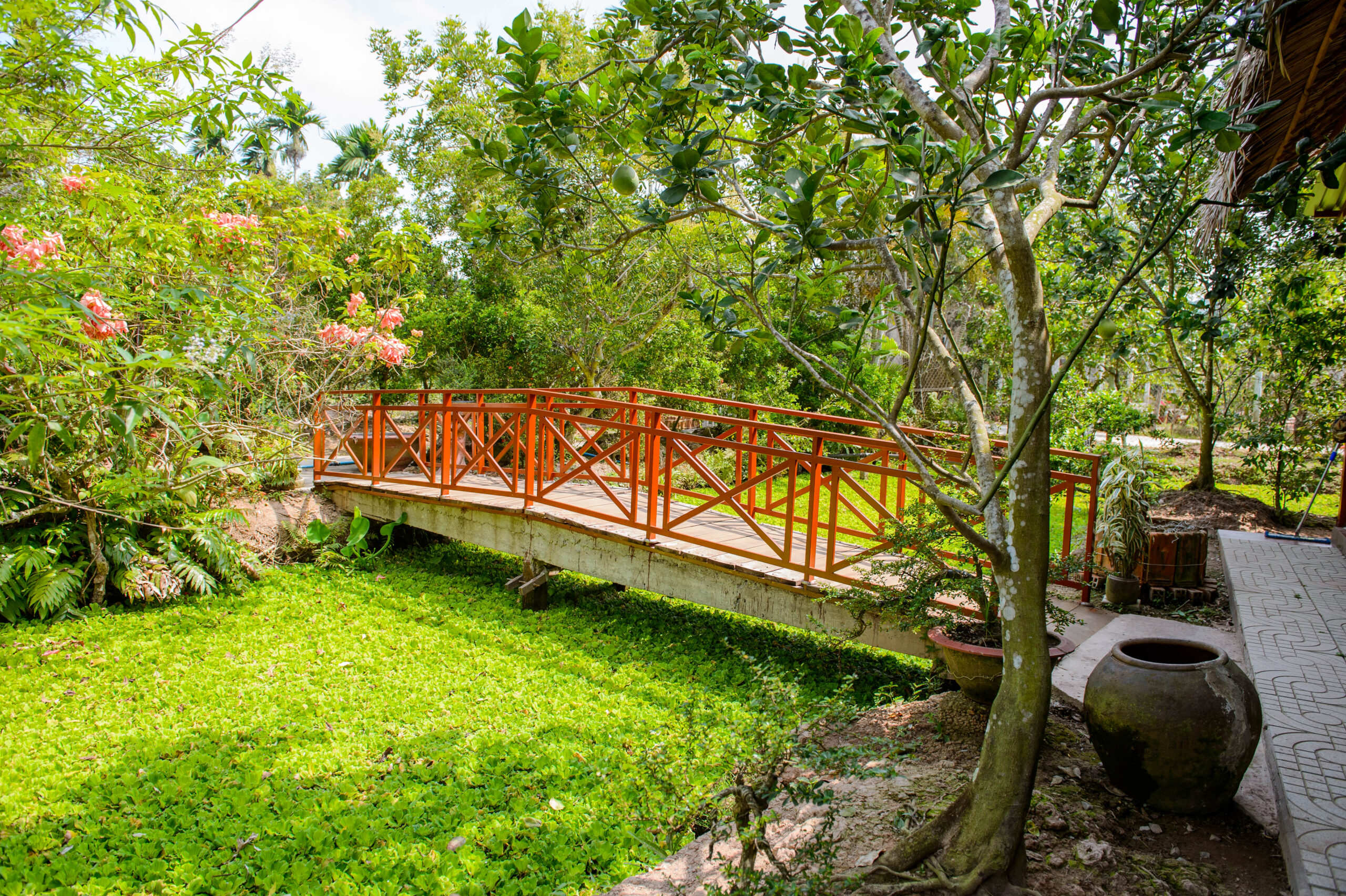 điểm ăn trái cây 2