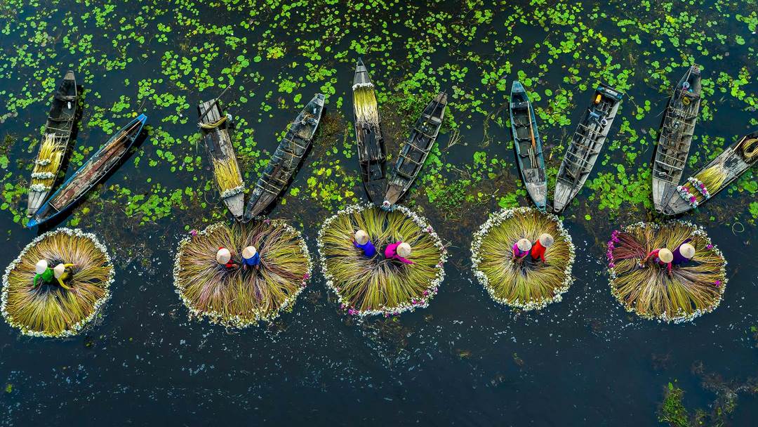 The Mekong Delta is in southern Vietnam, where the Mekong River splits into a vast network of tributaries before flowing into the South China Sea.