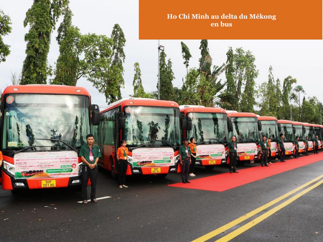 A line of modern coach buses parked roadside near lush Mekong Delta scenery — typical public transport option from Ho Chi Minh City to the region