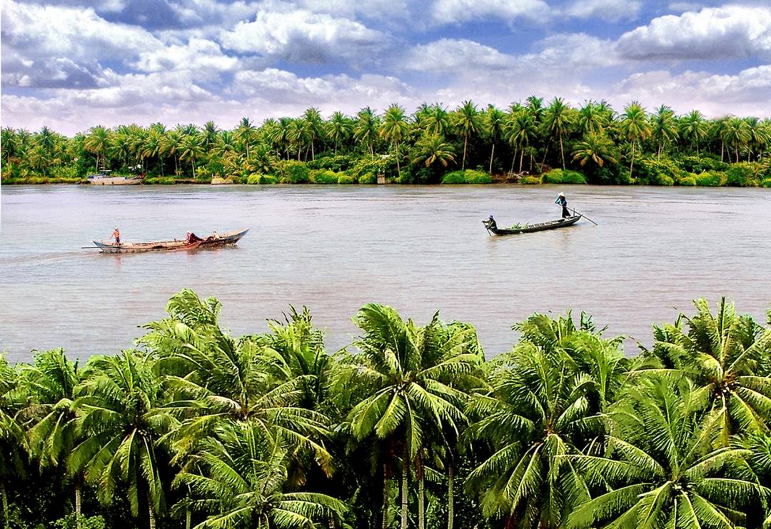 Coconut-lined banks of the Tiền River, with small boats gliding past the green canopy