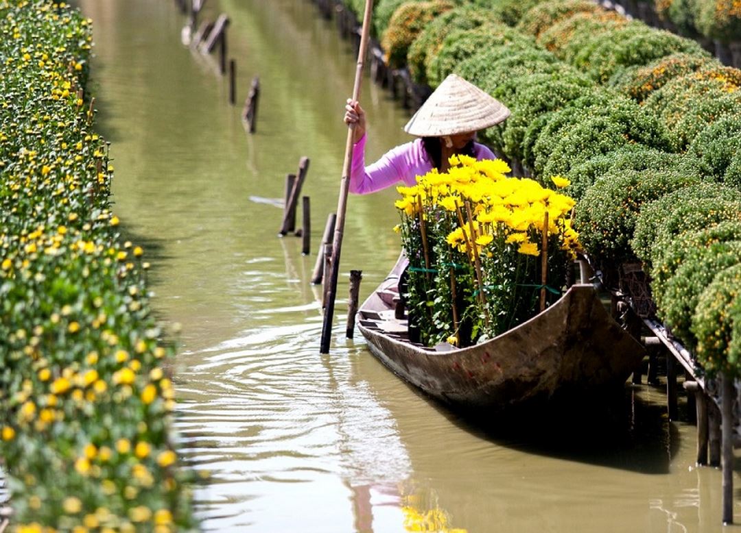 Flower-laden boat drifting through the Mekong Delta
