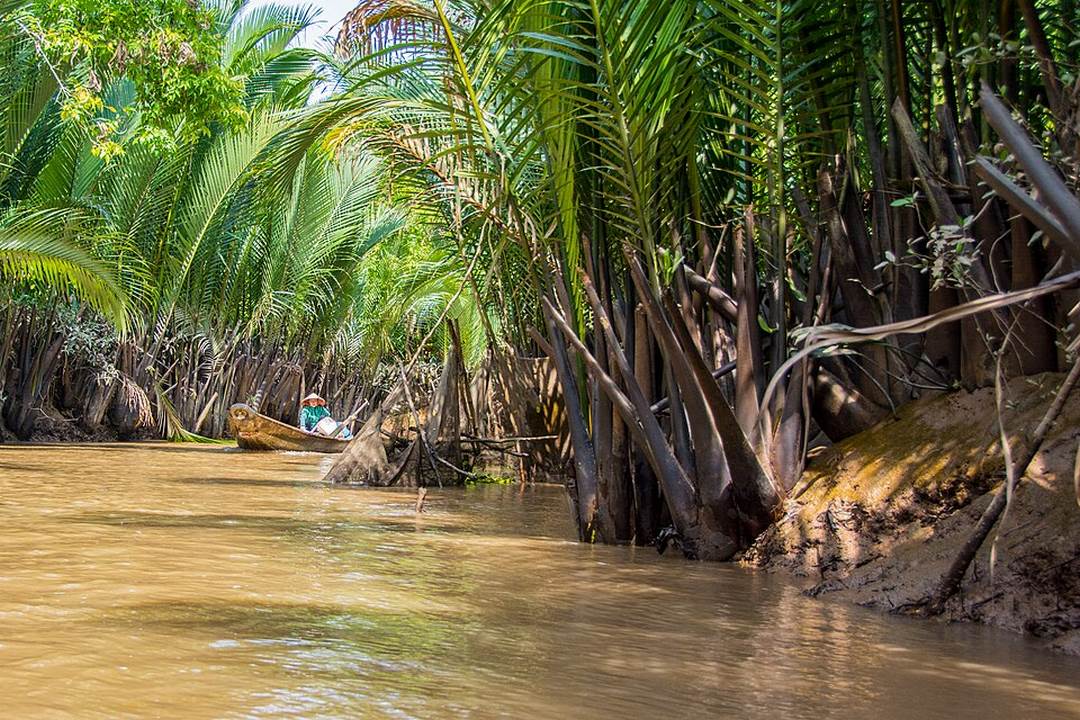 Gliding along palm-lined canals near My Tho in the Mekong Delta