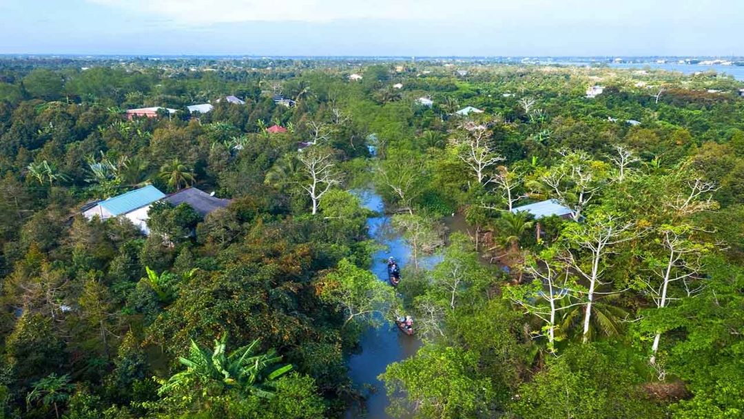Lush canals and orchards of Tân Phong Islet - perfect for a quiet sampan ride