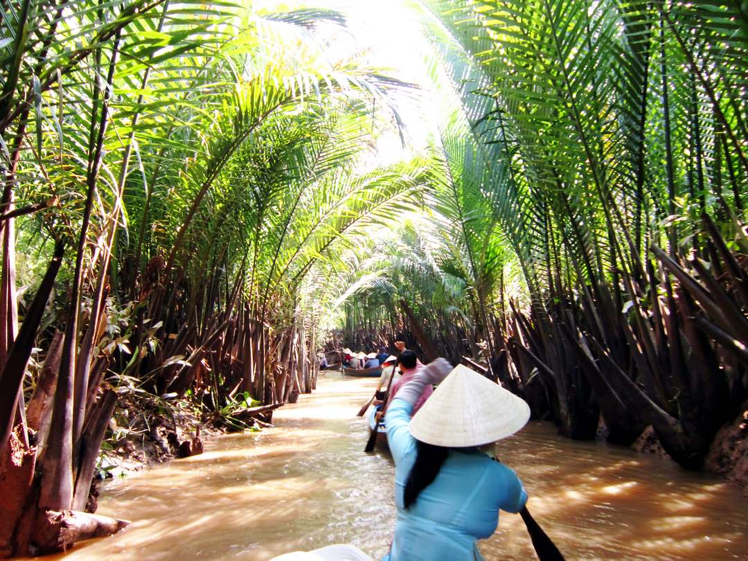 Rowing a sampan under palm canopies at Con Quy, Ben Tre — the classic narrow-canal experience