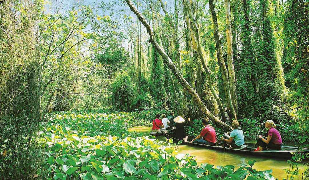 A boat ride through winding waterways amid melaleuca forest at Xeo Quyt Relic Area, Dong Thap, Vietnam