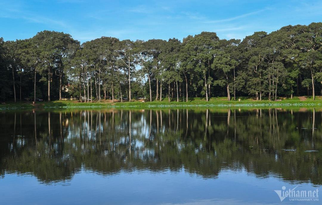 Wide-angle panorama of Ao Ba Om surrounded by ancient trees and still water at dawn