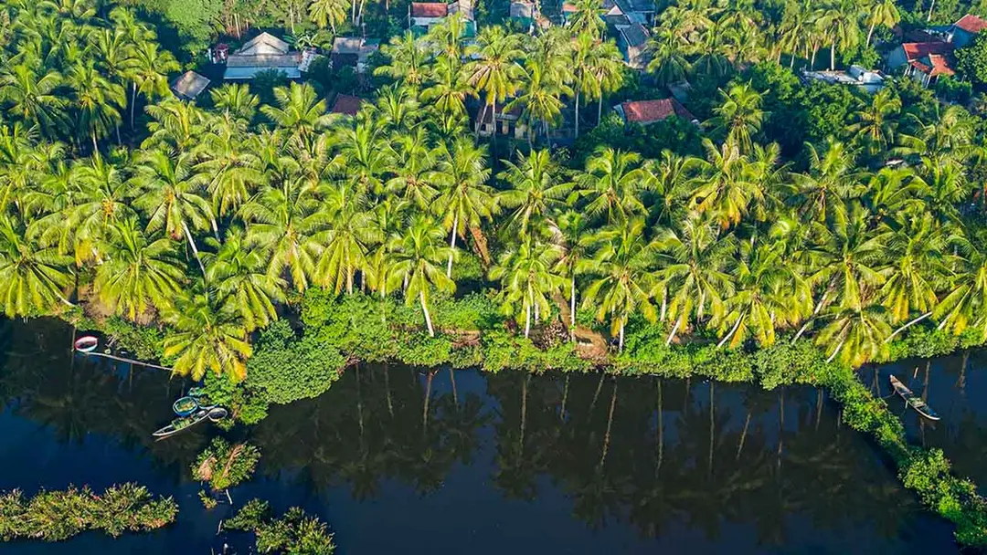 coconut groves Ben Tre Mekong Delta