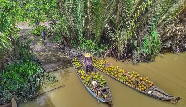coconut island mekong delta